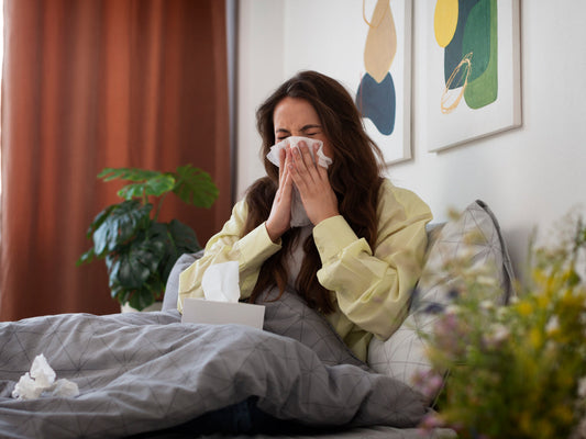 Spring Indoor Dust Solutions for Pet Owners and Allergy Sufferers