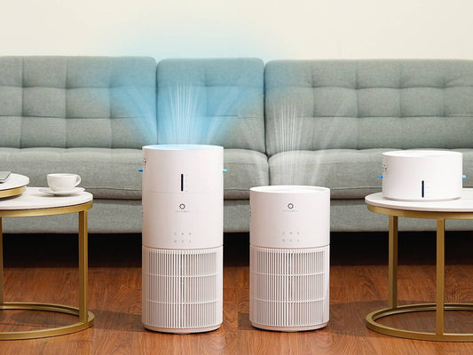 Why Choose a Humidifier + Air Purifier Combo?