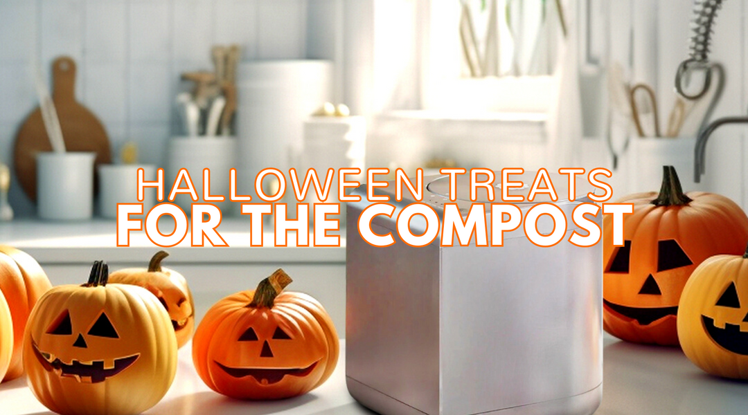 Spooktacular Halloween Treats for the Compost