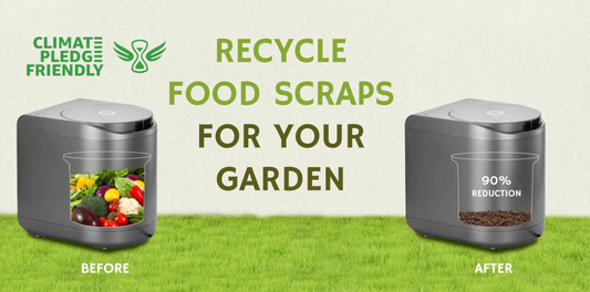 Airthereal’s Electric Composter is Climate Pledge Friendly
