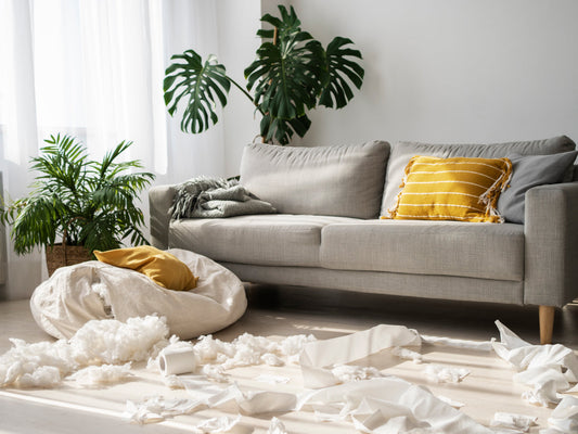Elevate Your Living Spaces: Airthereal's Comprehensive Guide to Spring Cleaning in 2025