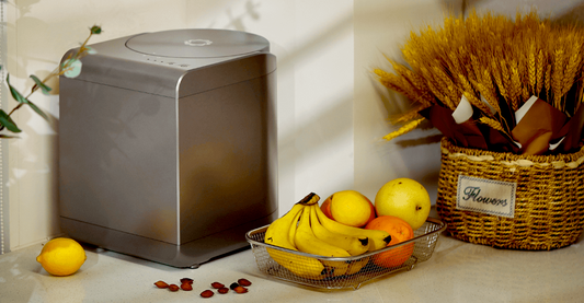 What Can I Compost in My Electric Composter? A Comprehensive List