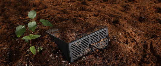 How To Be An Eco-Warrior In and Outside Your Home