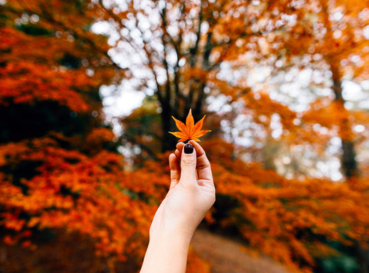 Enjoying the Fall Season Despite Allergies and Other Outdoor Pollutants