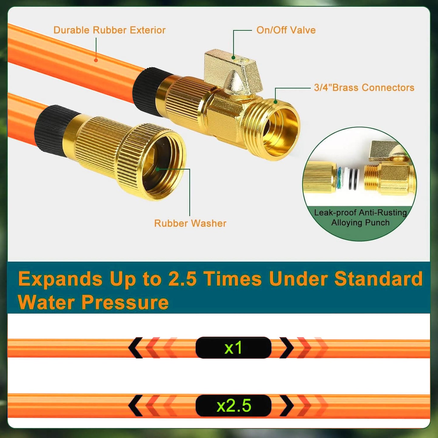 50ft Expandable Garden Hose with 10-Pattern Spray Nozzle