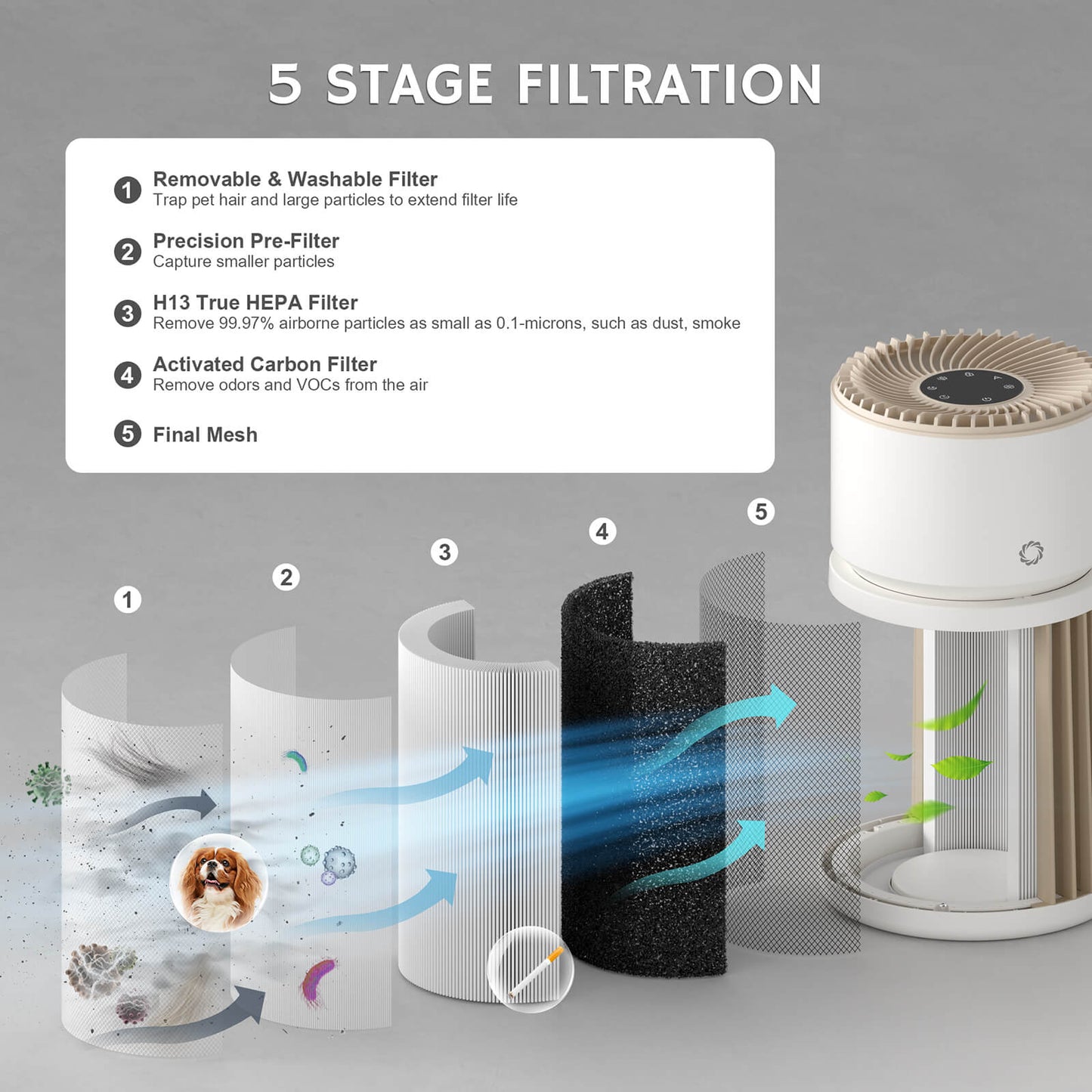 Glory Days AGH400 Pet Air Purifier showcasing its 5-stage filtration system. The image illustrates each filter stage, including a removable and washable filter, precision pre-filter, H13 True HEPA filter, activated carbon filter, and final mesh, emphasizing effective air purification.