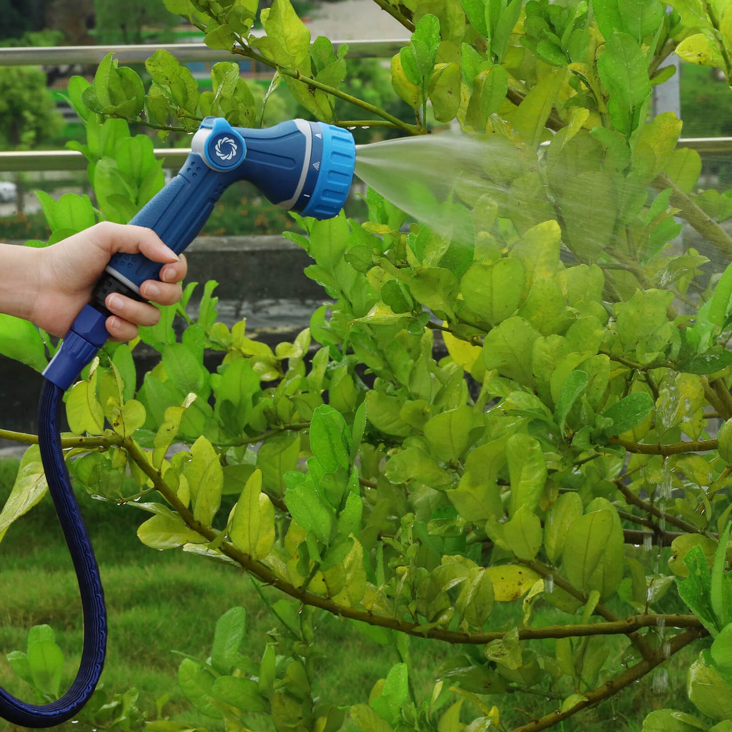HE100 100ft Water Expandable Hose - Flexible & Durable