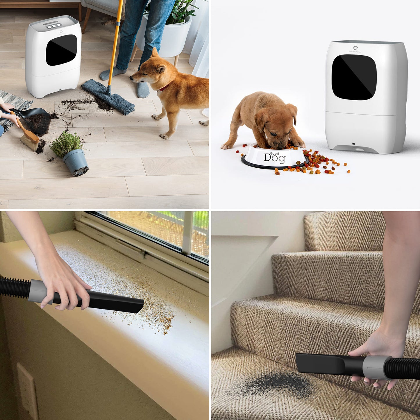 Collage of a pet cleaning device in use on various surfaces with a dog and a person present.