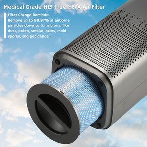 AGH380 H13 HEPA Medical Grade Replacement Filter