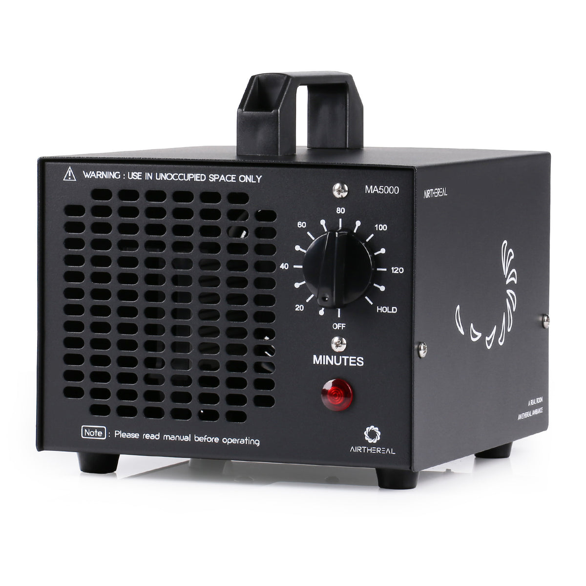 Generatore portatile di ozono 5000 mg/h (220v)