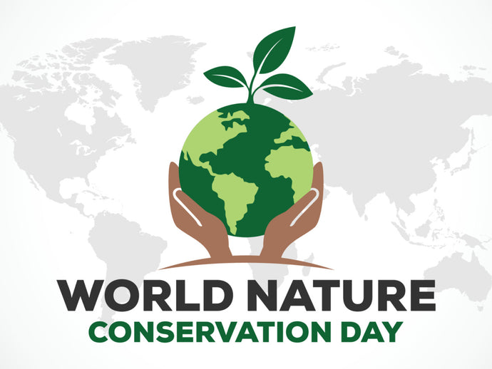 Celebrate World Nature Conservation Day with Airthereal: Making a Positive Impact on Our Planet