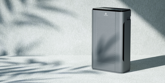 The Advantages of Having a WiFi Air Purifier Over Other Versions