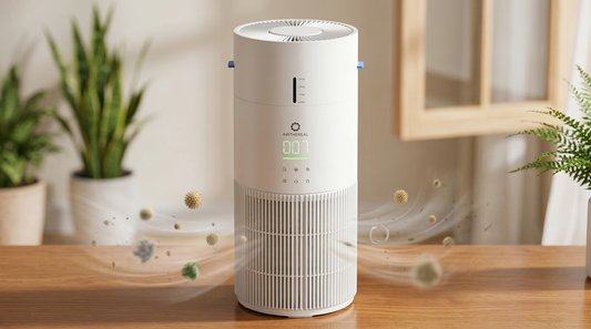 Pollen Season Survival Guide: Why "Purifier + Humidifier" is the Ultimate Allergy Combo