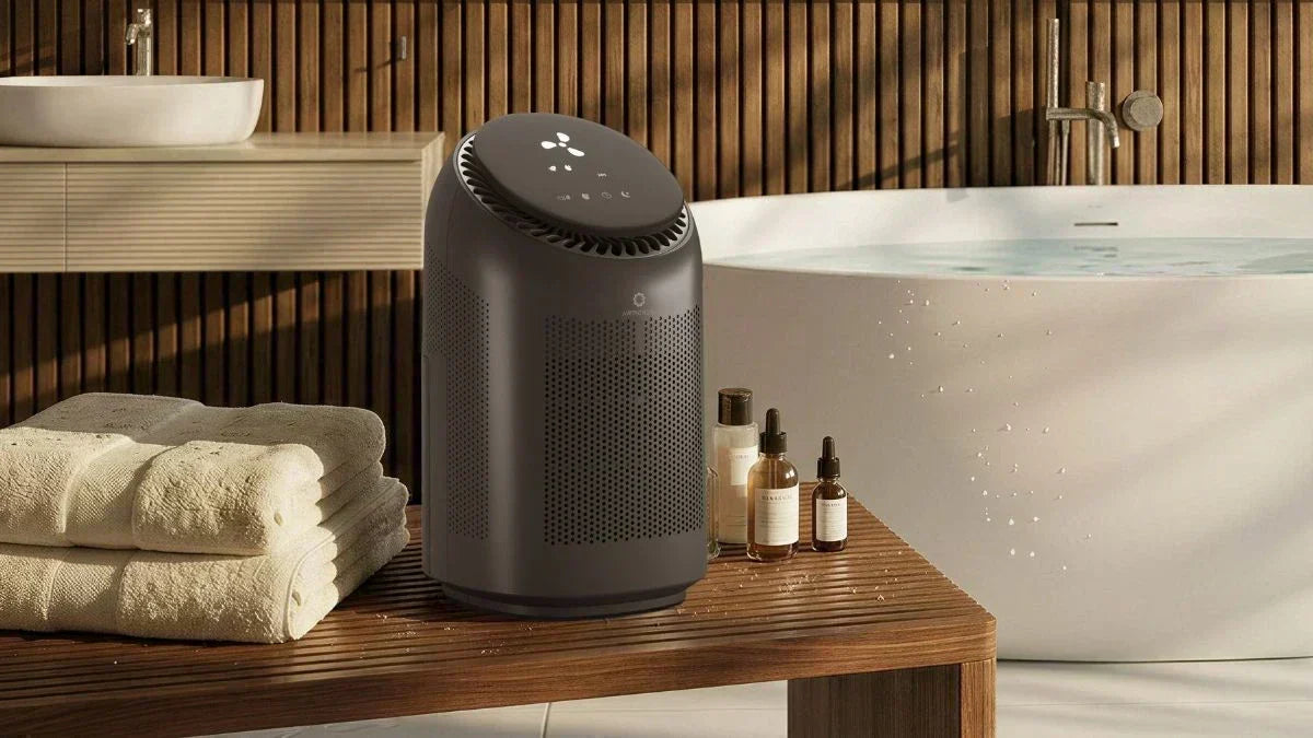 Air Purifier vs. Dehumidifier: What's the Difference and Do You Need Both?