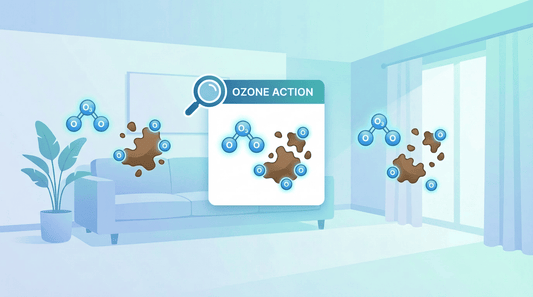 Why Does the Smell Come Back After Using an Ozone Generator?