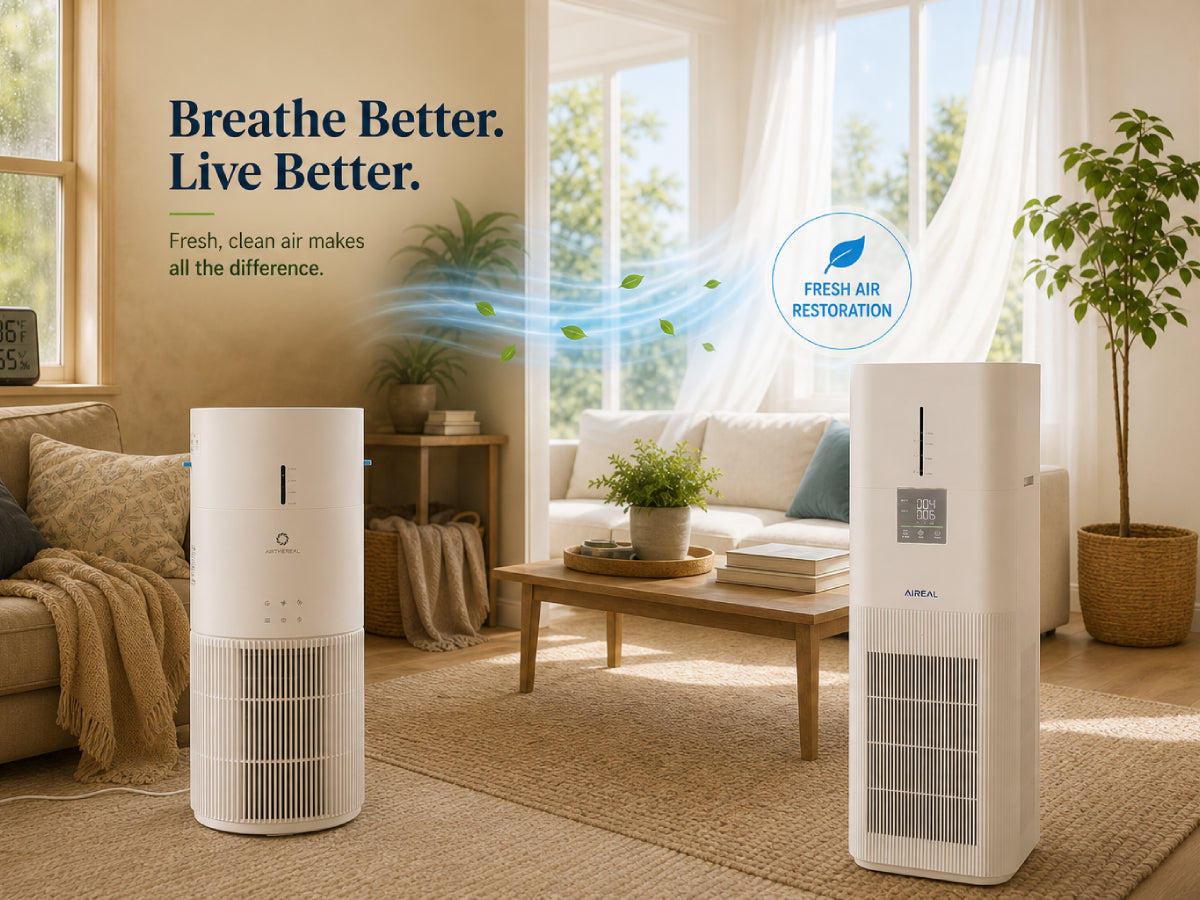 Air Purifier and Humidifier in One: Is a Combo Unit Worth Buying?