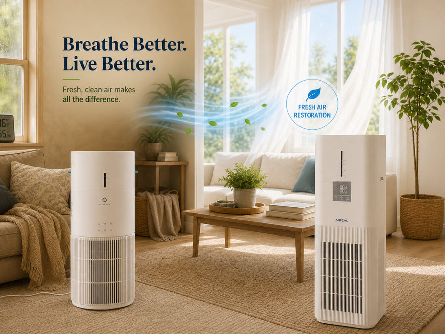 Air Purifier and Humidifier in One: Is a Combo Unit Worth Buying?