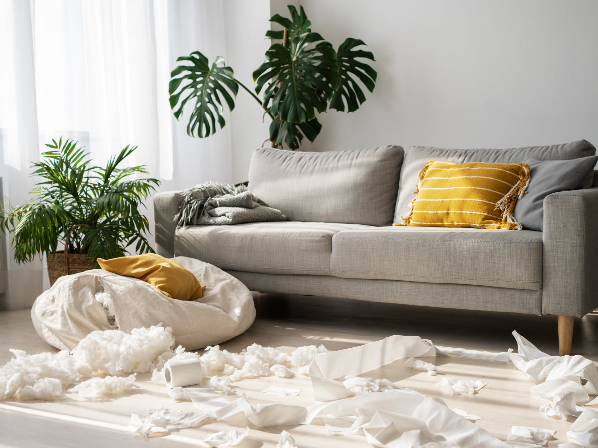 Elevate Your Living Spaces: Airthereal's Comprehensive Guide to Spring Cleaning in 2025