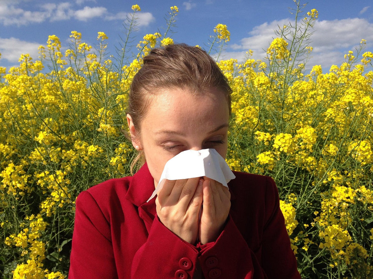Common Symptoms of Asthma and Allergies: How Airthereal Air Purifiers Can Help You Breathe Easier
