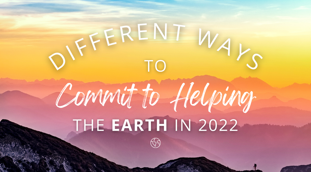 Different Ways to Commit to Helping the Earth in 2022