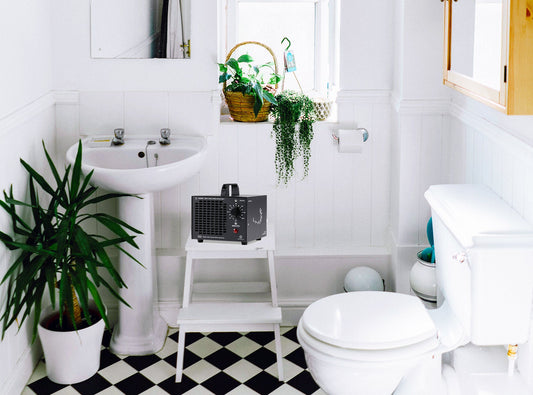 Dealing With Mold At Home