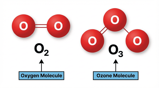 The Science of Ozone: How It Actually Removes Odors and Kills Bacteria