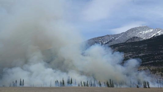 Wildfire Smoke and Air Quality: Essential Home Solutions to Breathe Cleaner Indoors