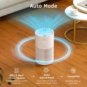 Ethereal Rain AEH300 Air Purifier & Humidifier Combo