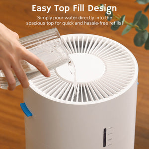 Ethereal Rain AEH300 Air Purifier & Humidifier Combo