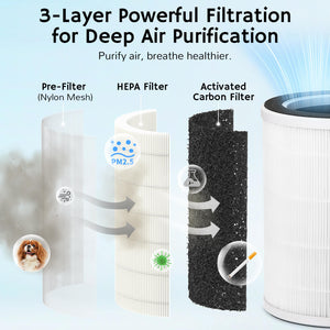 Ethereal Rain AEH300 Air Purifier & Humidifier Combo