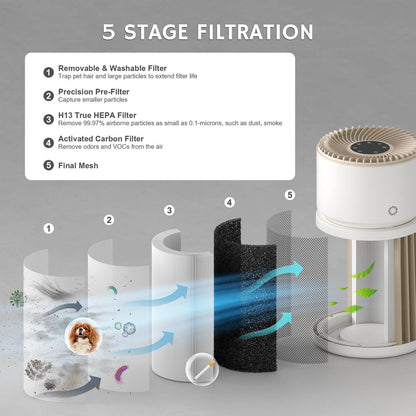 Glory Days AGH400 Pet Air Purifier showcasing its 5-stage filtration system. The image illustrates each filter stage, including a removable and washable filter, precision pre-filter, H13 True HEPA filter, activated carbon filter, and final mesh, emphasizing effective air purification.