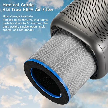 AGH550 H13 HEPA Medical Grade Filter Replacement