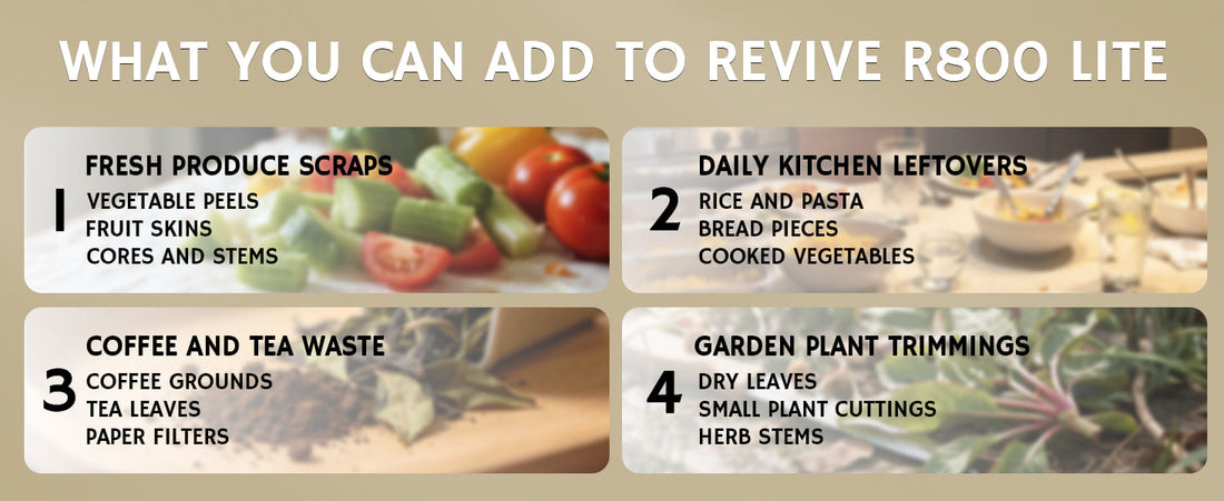 Infographic on what to add to the Revive R800 Lite with images and text