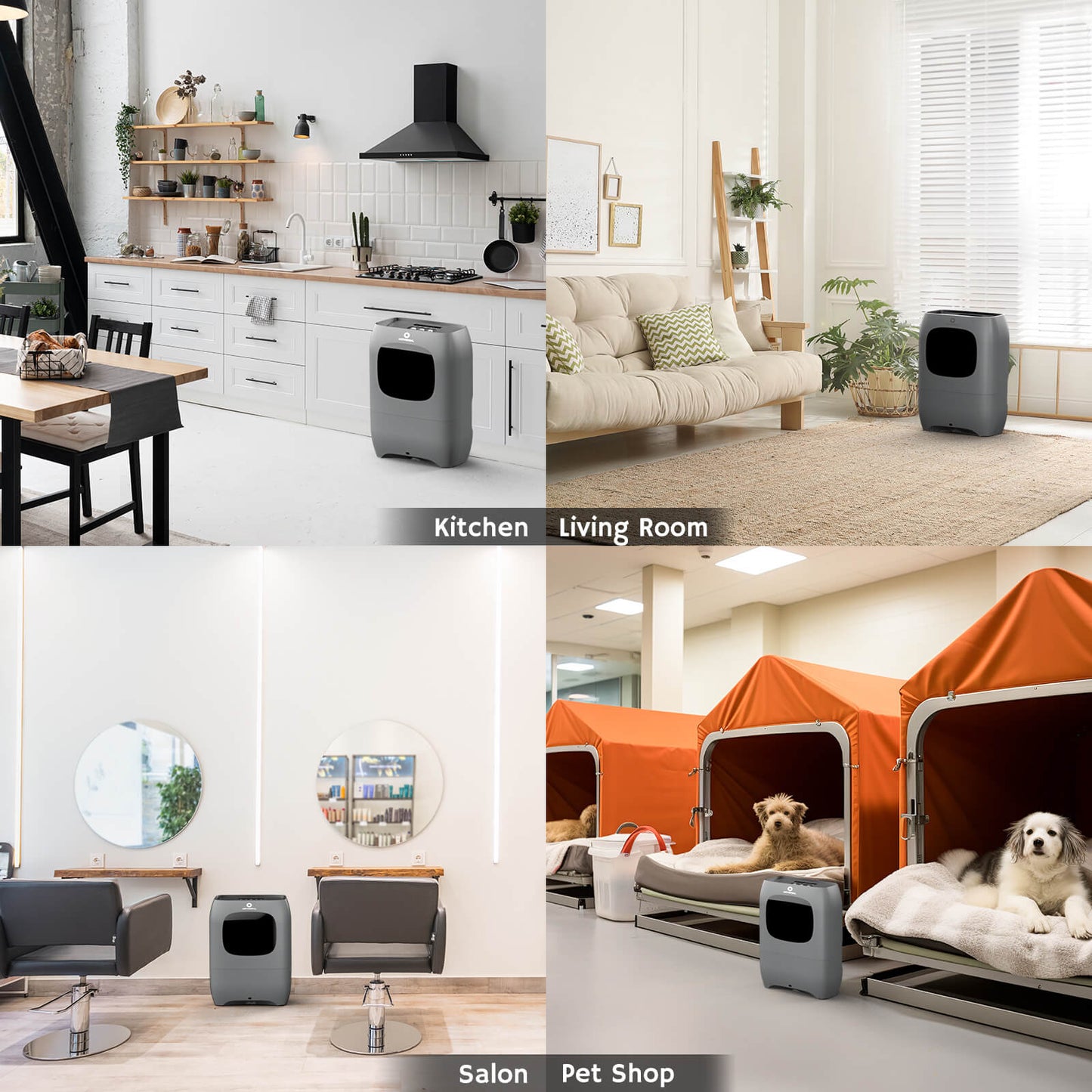 Collage of a pet product in different settings, including kitchen, living room, salon, and pet shop.